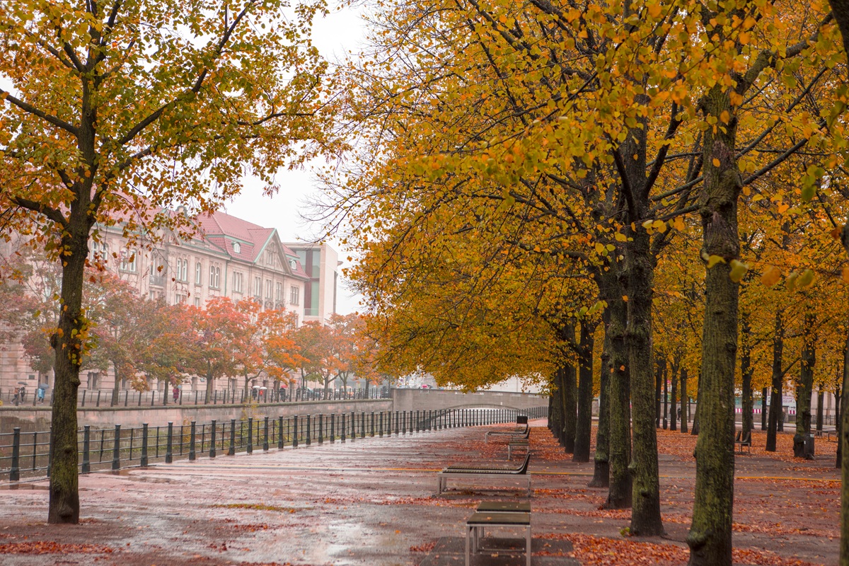 Paris se referme : couvre-feu et deuxième confinement